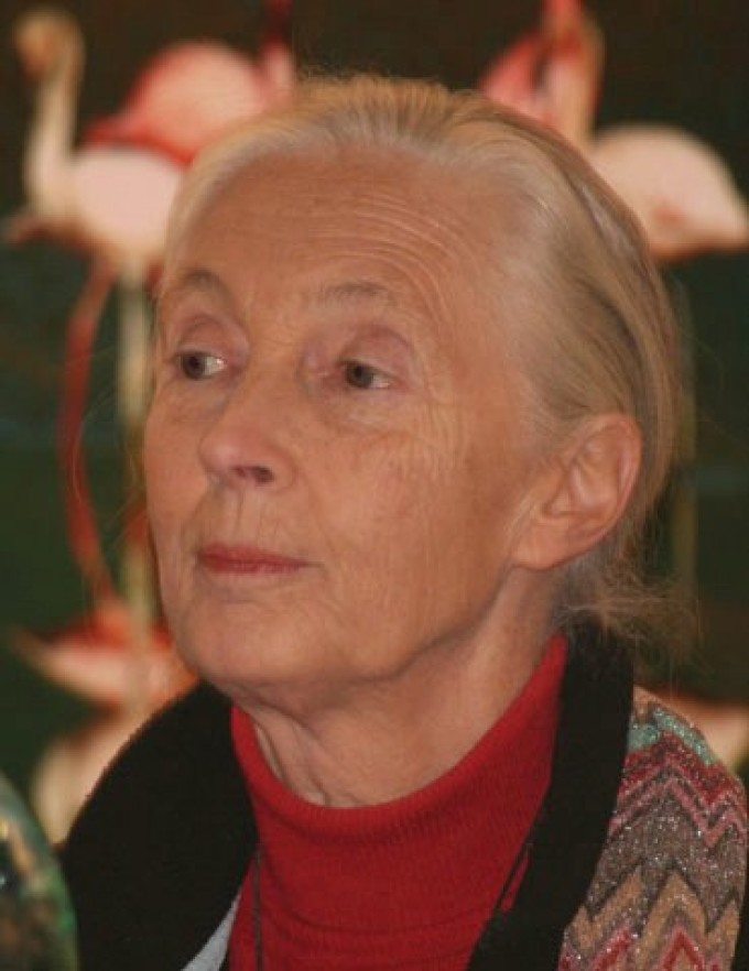 Jane Goodall, per l’Africa e per le future generazioni