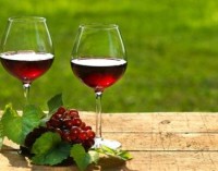 ‘Crea il tuo vino’: il manuale utile al cantiniere e all’enologo