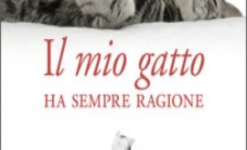 Il mio gatto ha sempre ragione, di Kwon Yoonjoo