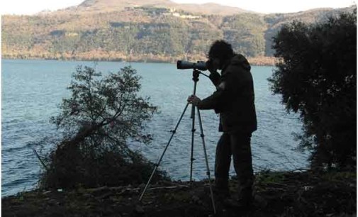 Parco regionale dei Castelli Romani – Censimento avifauna svernante 2016, i risultati