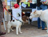 La giornata di microchippatura canina