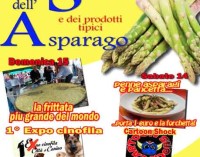 Sagra dell’asparago “mangiatutto” a Canino e festa sia!