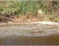 Inquinamento tra Pomezia e Ardea, torrente Rio Torto diventa giallo e pieno di schiuma