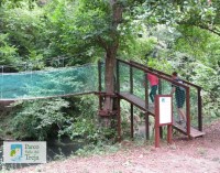 Visita guidata nella valle Da Mazzano a Calcata tra storia e natura