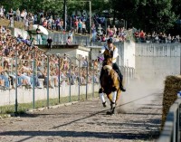 Pallio della Carriera: il 4 settembre Corsa Equestre all’Anulo Aereo 2016