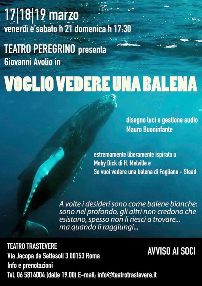 Teatro Trastevere presenta  Voglio vedere una balena