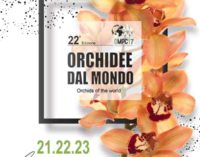 Orchidee dal Mondo 2017  Monte Porzio Catone 21 – 22 – 23 aprile 2017