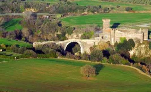 L’asparago “mangiatutto” di Canino