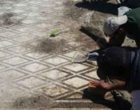San Cesareo – Prende il via il restauro dei mosaici  della Villa di Cesare e Massenzio