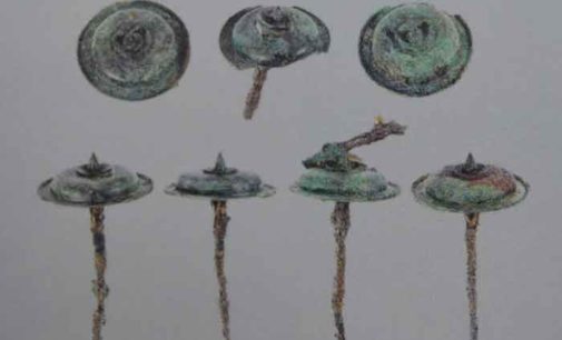 Sottratta nella notte una borchia in bronzo alla Mostra Pompei e i Greci