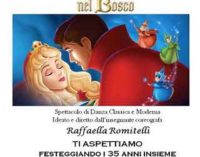 Marino – La bella addormentata nel bosco