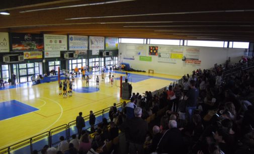 Volley Club Frascati, Musetti: «Le finali Under 14? Una grande festa». Via alle prove gratuite