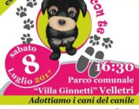 Velletri – 4a edizione “Vengo via con te”