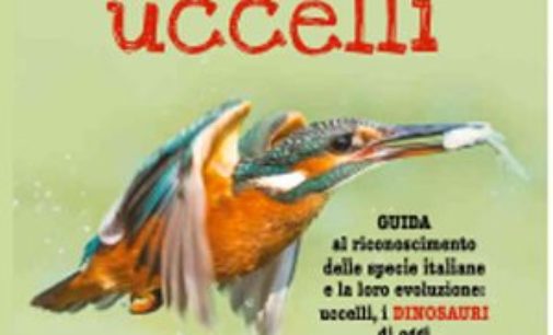 In libreria, per tutti, i consigli d’un piccolo ornitologo