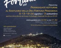 Palestrina -Luci su Fortuna. Passeggiate notturne al Santuario della dea Fortuna Primigenia