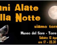 Museo del fiore – Torre Alfina – Mani alate nella notte … siamo tornati