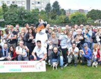 A Verona la finale di selezione per la nazionale Jack Russel Terrier Italia