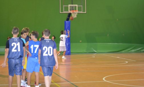Ssd Colonna (basket): si riparte dalla Promozione, dall’Under 14 e da un gruppetto di mini basket