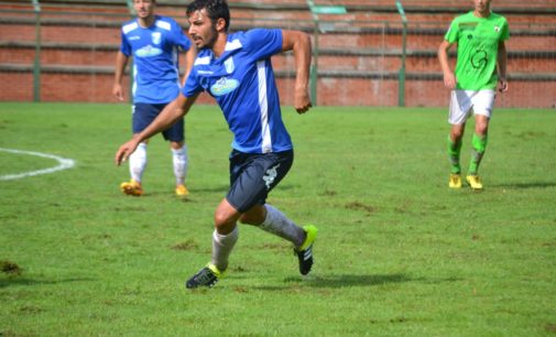 Albalonga calcio (serie D), Falasca traccia il mini-bilancio: «Bene i sette punti in una settimana»