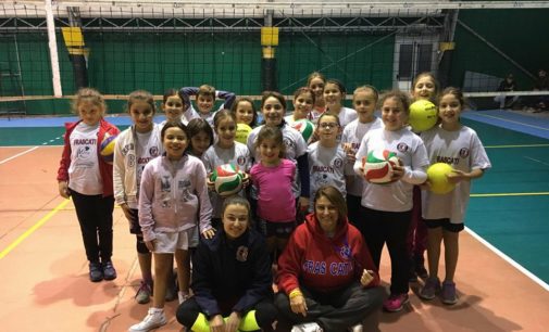 Volley Club Frascati, la Bastiani e il mini volley: «Abbiamo ragazze molto ricettive»