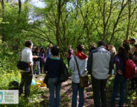 Parco Valle del Treja – Visite guidate 2018  – Avviso pubblico per le visite nell’area protetta