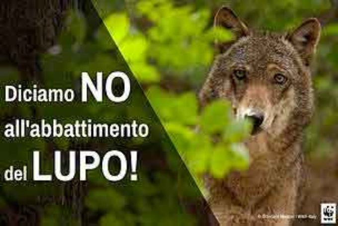 Piano Lupo, Il WWF chiede una rapida approvazione