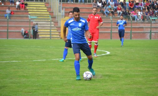 Albalonga calcio (serie D), l’inseguimento continua. Falasca: «Sarà così fino all’ultimo»