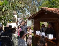 “Festa del Parco”, la giornata dedicata all’ambiente dei Castelli Romani