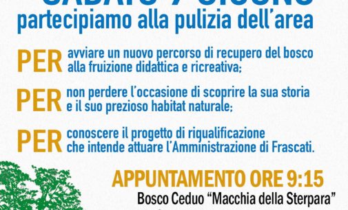Frascati – Macchia della Sterpara 2.0 una giornata  di impegno civico e sociale per il Bosco Ceduo