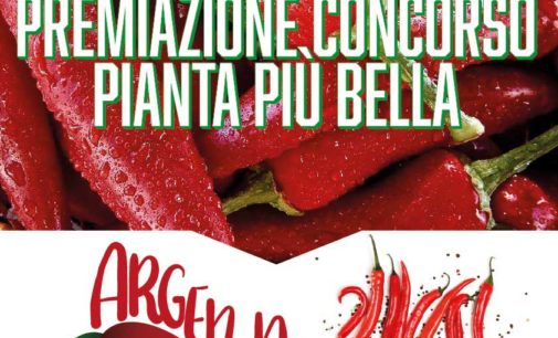 TARQUINIA LIDO – MOSTRA/CONCORSO PIANTA DI PEPERONCINO PIU’ BELLA