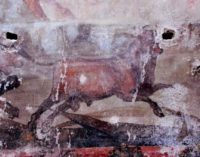 Pompei – RIAPRONO LA CASA DEI CEII E IL COMPLESSO DI GIULIA FELICE
