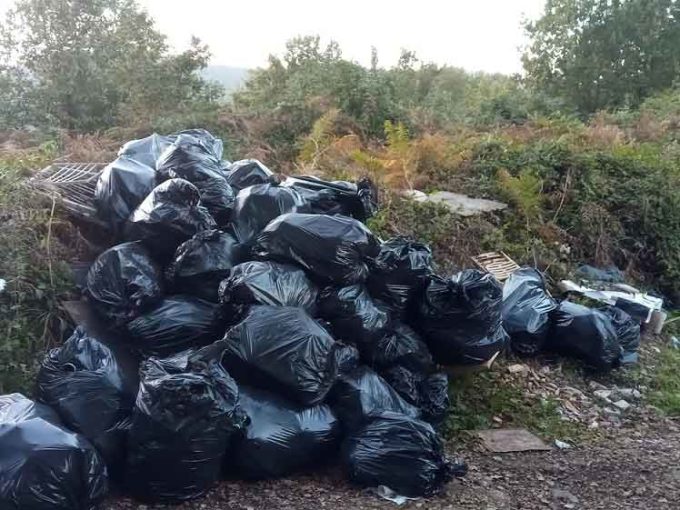 Decine di sacchi di immondizia abbandonati al Vivaro