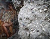 LEDA E IL CIGNO L’affresco riemerge da un ambiente di via del Vesuvio