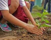 A Verdi Passioni prove di primavera. Giardino, orto, campagna, animali: piaceri da coltivare. Il 2 e 3 marzo a Modena