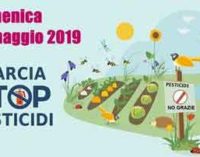 IN MARCIA PER DIRE STOP PESTICIDI