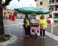 Lariano  – Grande successo per l’evento Le Rose di Santa Rita