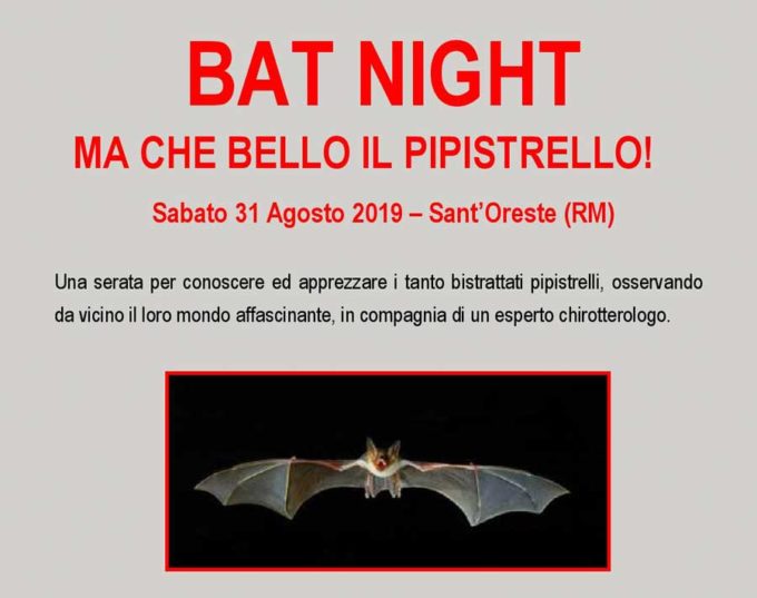 Sant’Oreste: BAT NIGHT