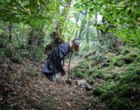 Torre Alfina / Acquapendente  – Natale nel Bosco di Biancaneve tra Elfi, Fate e Re