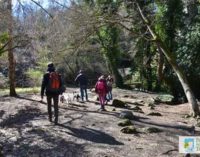 Parco Valle del Treja – Visite guidate 2020