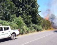 Campagna Antincendio Boschivo 2020