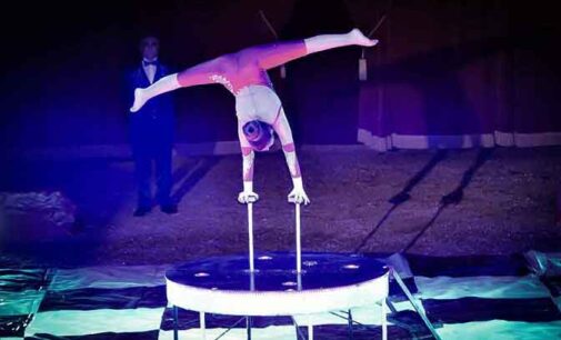A Teramo il grande show circense del Maya Orfei Circo Madagascar