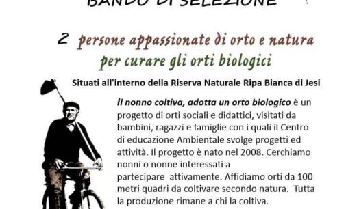 IL NONNO COLTIVA: ADOTTA UN ORTO BIOLOGICO