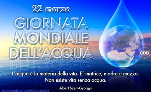 AGENDA 2030 GOAL 6:  ACQUA PULITA E  SERVIZI  IGIENICO – SANITARI