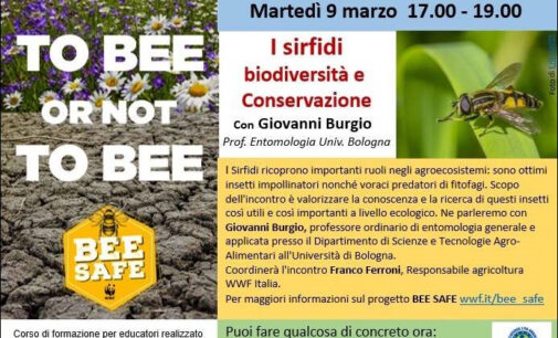 RIPARTE IL PROGETTO “BEE SAFE” Salviamo le api e gli altri impollinatori