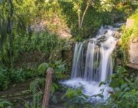 La poesia dell’acqua. La Valca d’Acquataccio e i poeti dell’Arcadia – Spettacolo teatrale nel Parco Regionale dell’Appia Antica