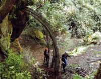 Calcata, Opera Bosco, visita guidata