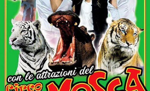 Il Circo Royal  con le attrazioni internazionali del Circo di Mosca a Vasto