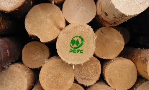 PEFC Italia festeggia 20 anni dalla parte delle foreste