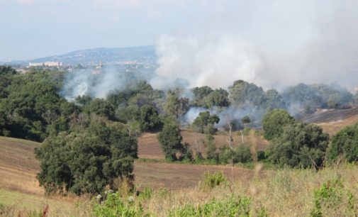 Divampano le fiamme nella Riserva Regionale della Sughereta di Pomezia
