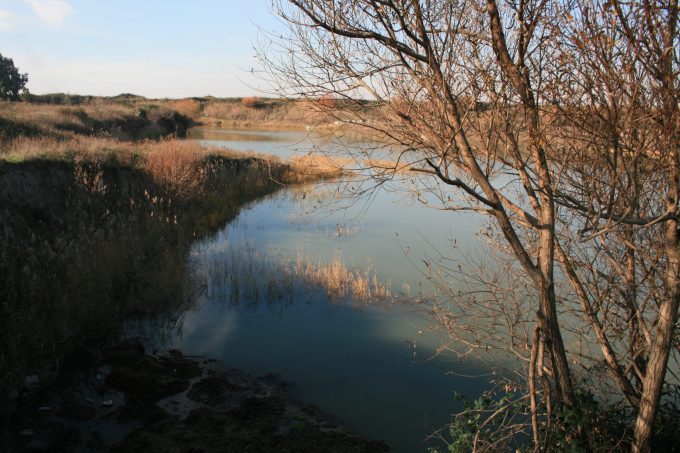 Ambiente, richieste due nuove aree protette nel territorio di Pomezia
